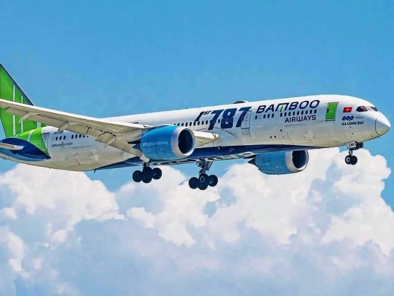 Tính thẩm quyền và độ tin cậy của hãng hàng không Bamboo Airways