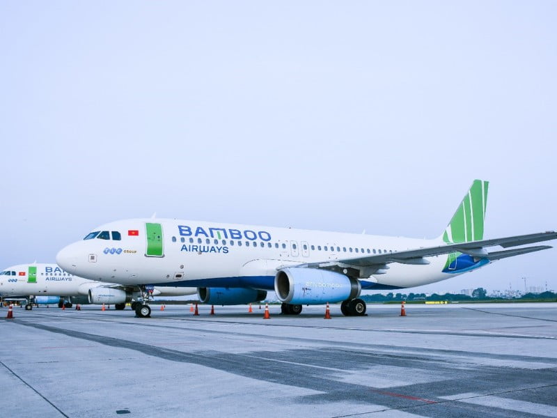 Đánh giá tính chuyên môn, thẩm quyền và độ tin cậy của các chính sách và ưu đãi của Bamboo Airways