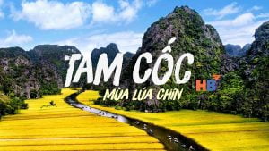 5 Tour Du Lịch Hà Nội Giá Rẻ Được Chọn Lựa Nhiều Nhất