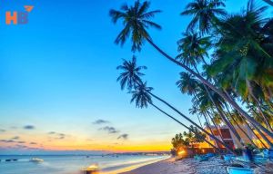 Bật Mí Kinh Nghiệm Du Lịch Bình Thuận Chi Tiết Nhất