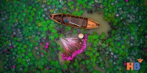 Những Điều Về Tour 6 Tỉnh Miền Tây Nam Bộ Mà Bạn Chưa Biết