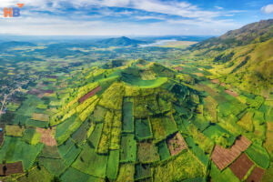 Những Đặc Sản Tây Nguyên Khiến Nhiều Khách Du Lịch Khó Quên Khi Thưởng Thức