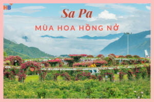 Những Địa Điểm Không Thể Bỏ Lỡ Khi Đi Tour Hà Nội Sapa 4 Ngày 3 Đêm