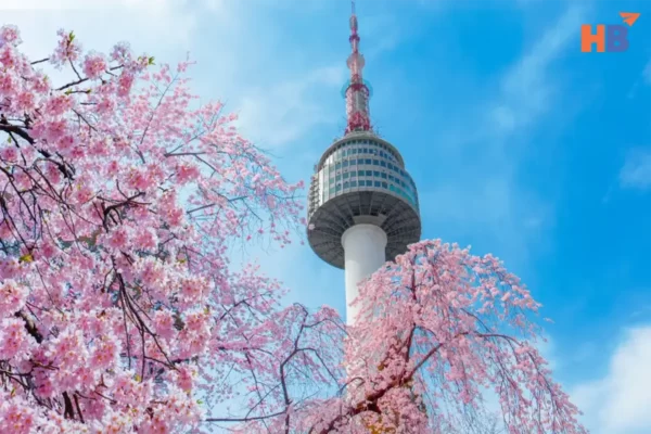 Biểu tượng của Seoul - Tháp Namsan