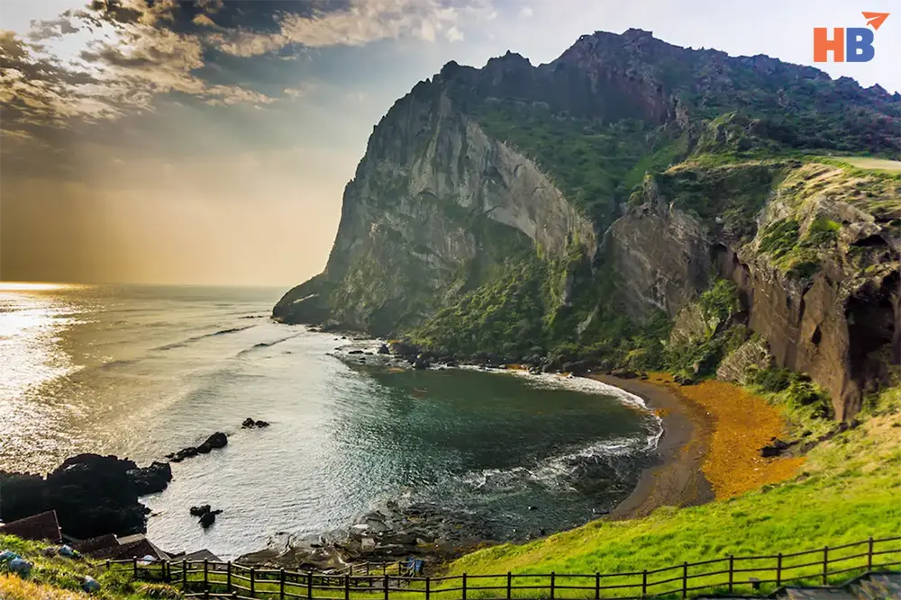 Ngắm nhìn vẻ bình lặng của đảo Jeju