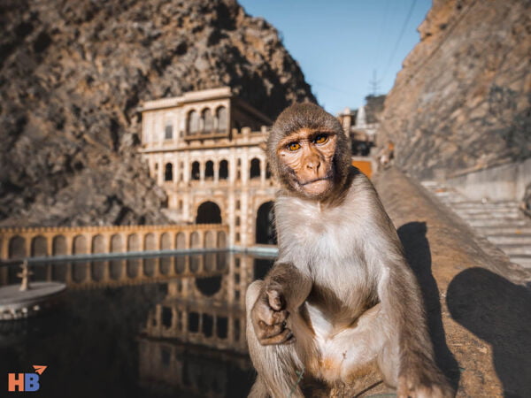 Galta-Ji-Monkey-Temple