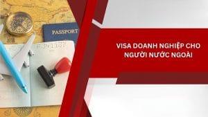 Bật Mí Điều Kiện Và Quy Trình Xin Visa Dn Cho Người Mới