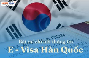 Tổng Hợp Thông Tin Và Thủ Tục Cần Biết Khi Xin E Visa Hàn Quốc
