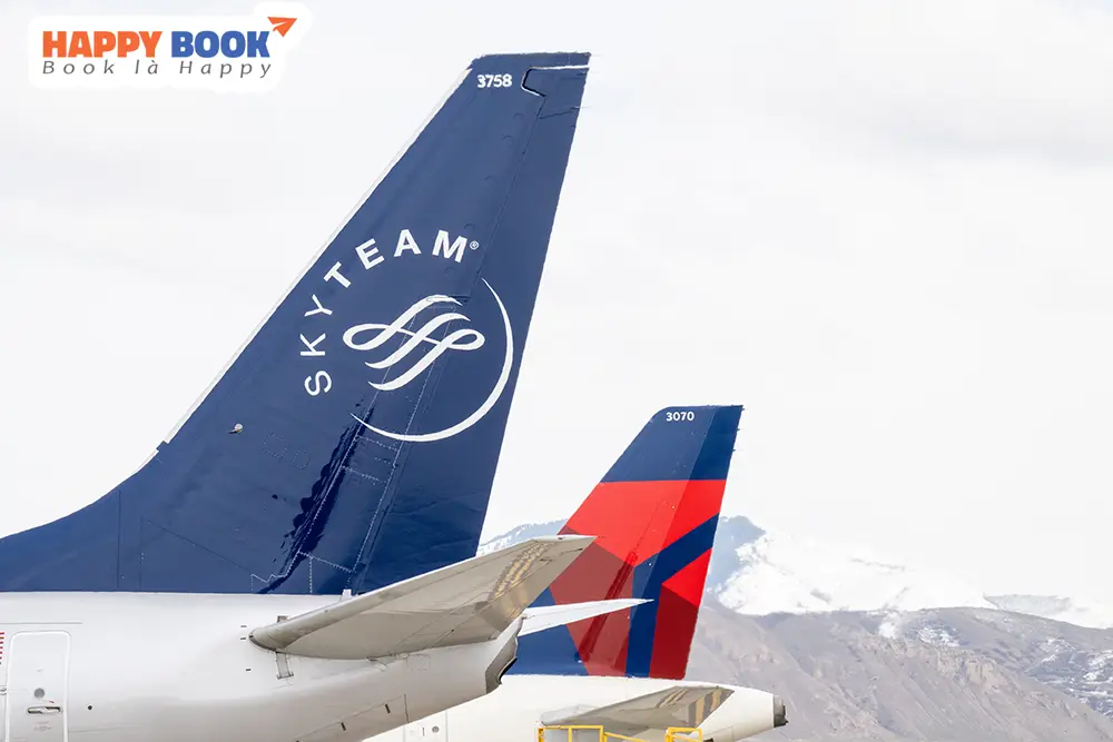 Thông tin sơ lược về liên minh Skyteam
